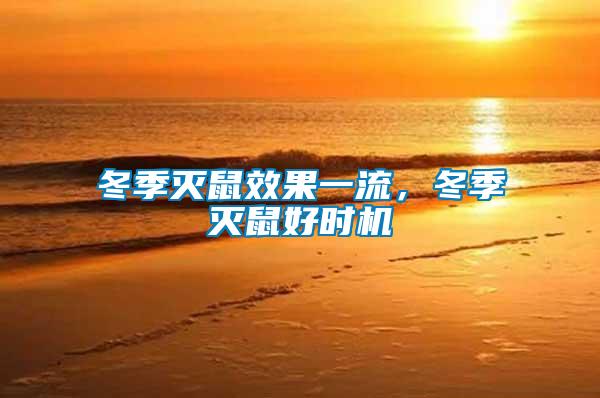 冬季滅鼠效果一流,冬季滅鼠好時(shí)機(jī)