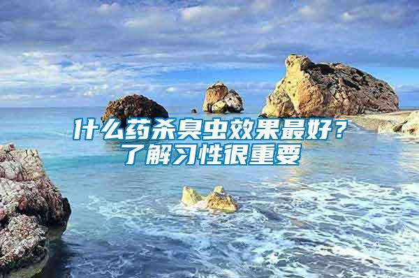 什么藥殺臭蟲效果最好？了解習性很重要