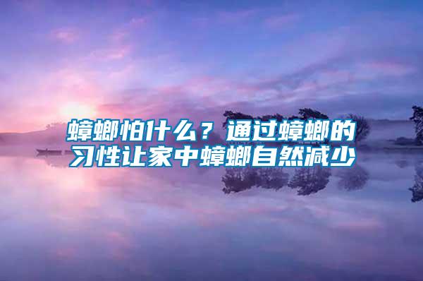 蟑螂怕什么？通過蟑螂的習性讓家中蟑螂自然減少