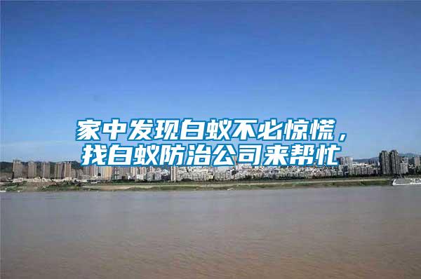 家中發現白蟻不必驚慌，找白蟻防治公司來幫忙