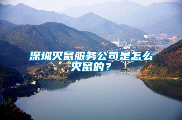 深圳滅鼠服務公司是怎么滅鼠的?