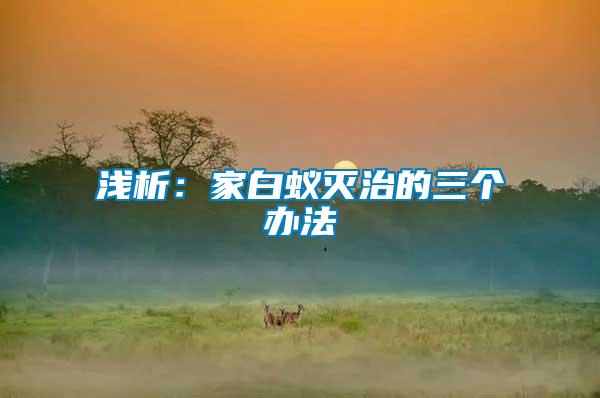 淺析:家白蟻滅治的三個辦法