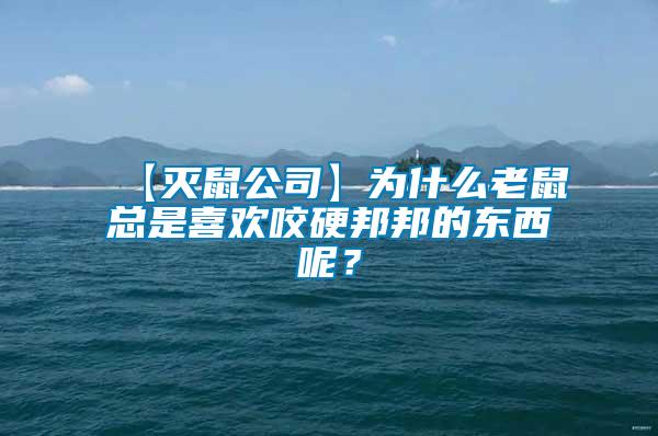【滅鼠公司】為什么老鼠總是喜歡咬硬邦邦的東西呢？
