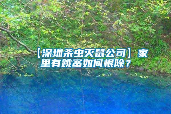 【深圳殺蟲(chóng)滅鼠公司】家里有跳蚤如何根除?