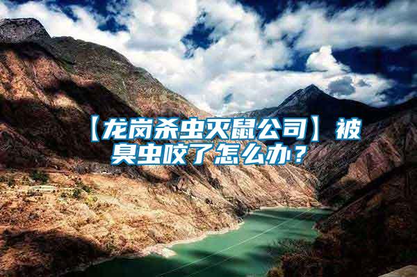 【龍崗殺蟲(chóng)滅鼠公司】被臭蟲(chóng)咬了怎么辦？