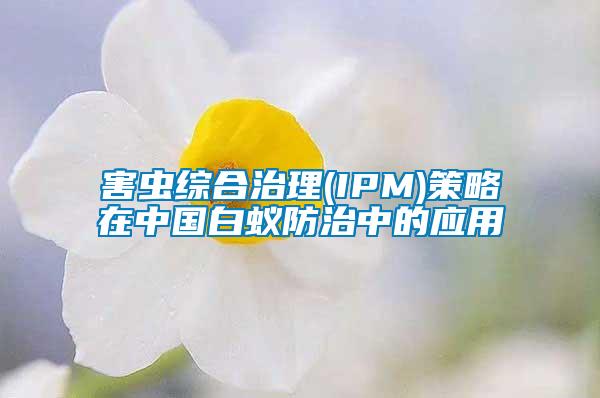 害蟲綜合治理(IPM)策略在中國(guó)白蟻防治中的應(yīng)用