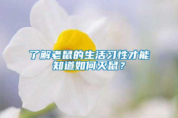 了解老鼠的生活習性才能知道如何滅鼠？