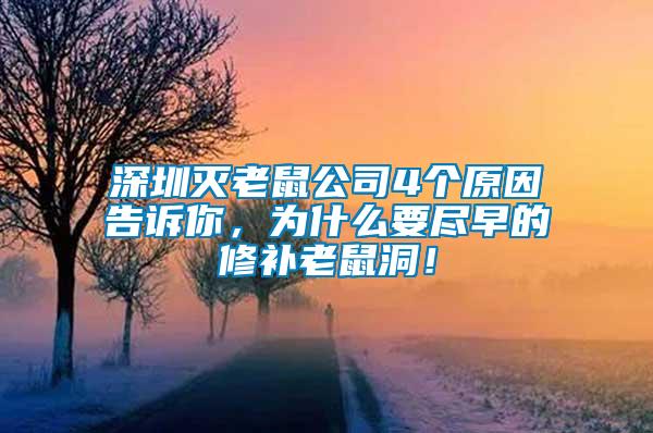 深圳滅老鼠公司4個原因告訴你,為什么要盡早的修補老鼠洞!