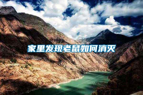 家里發現老鼠如何消滅