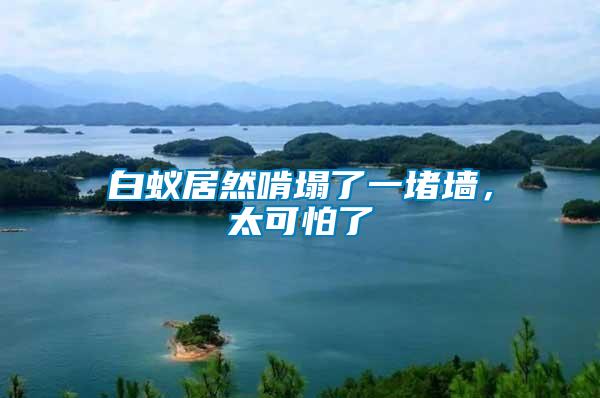 白蟻居然啃塌了一堵墻,太可怕了