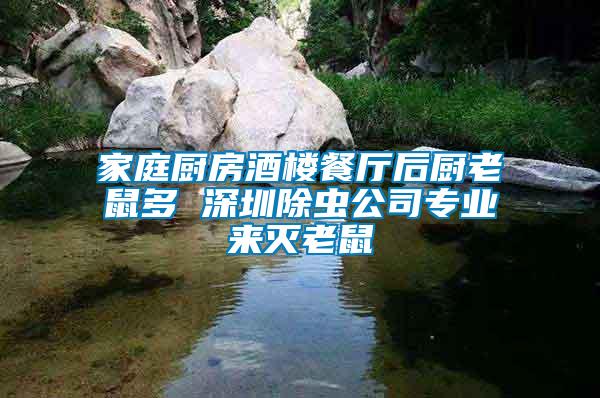 家庭廚房酒樓餐廳后廚老鼠多 深圳除蟲(chóng)公司專業(yè)來(lái)滅老鼠