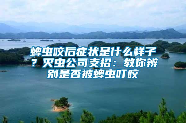 蜱蟲咬后癥狀是什么樣子?滅蟲公司支招:教你辨別是否被蜱蟲叮咬