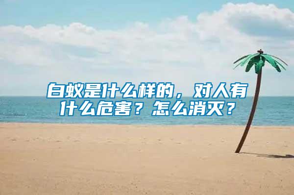 白蟻是什么樣的，對人有什么危害？怎么消滅？