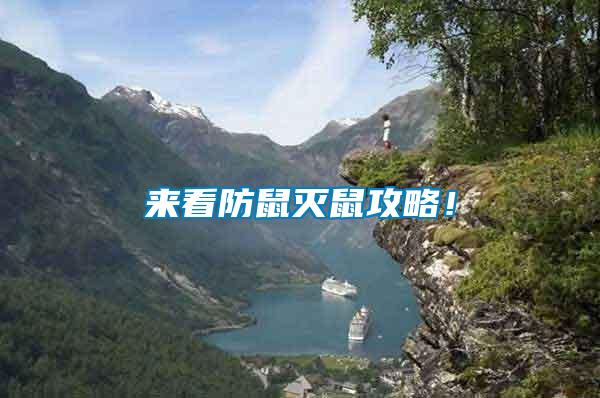 來看防鼠滅鼠攻略！