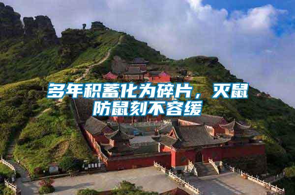 多年積蓄化為碎片,滅鼠防鼠刻不容緩