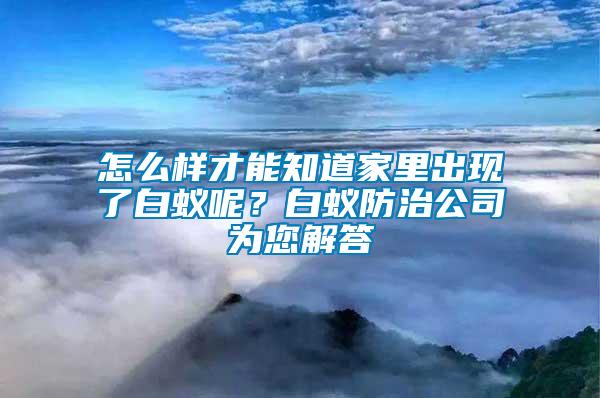怎么樣才能知道家里出現了白蟻呢？白蟻防治公司為您解答