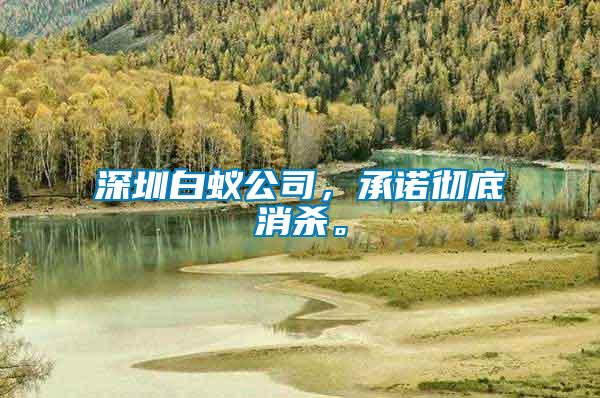 深圳白蟻公司，承諾徹底消殺。