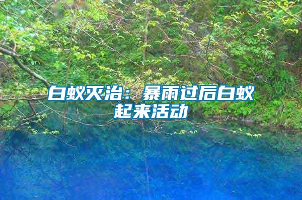 白蟻滅治:暴雨過后白蟻起來活動