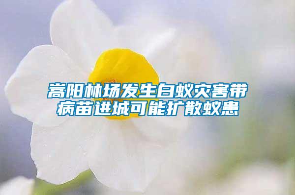 嵩陽(yáng)林場(chǎng)發(fā)生白蟻災(zāi)害帶病苗進(jìn)城可能擴(kuò)散蟻患