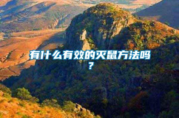 有什么有效的滅鼠方法嗎？