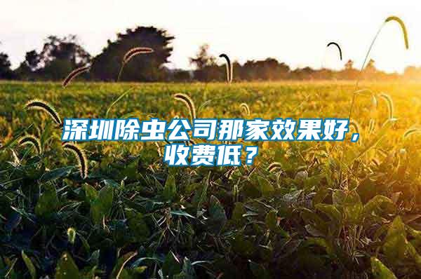 深圳除蟲公司那家效果好，收費(fèi)低？