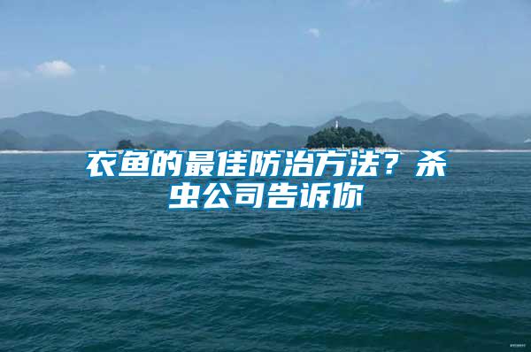 衣魚的最佳防治方法?殺蟲公司告訴你