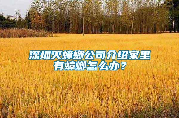 深圳滅蟑螂公司介紹家里有蟑螂怎么辦?