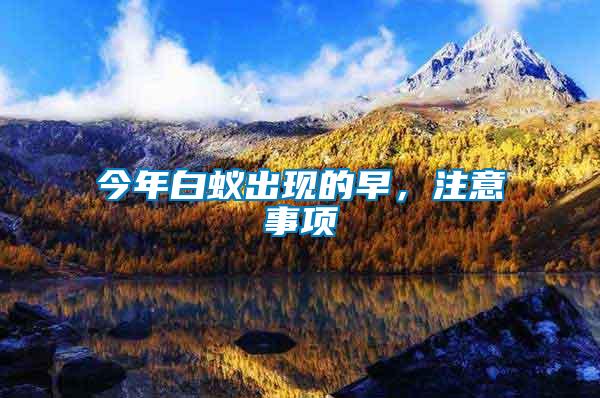 今年白蟻出現的早,注意事項