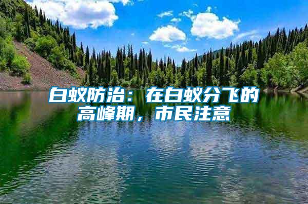 白蟻防治:在白蟻分飛的高峰期,市民注意