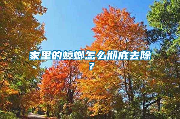家里的蟑螂怎么徹底去除？