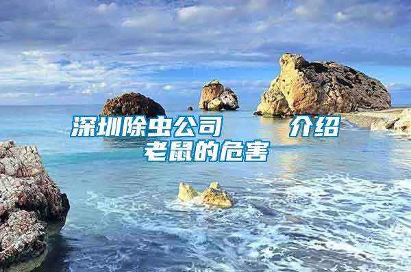 深圳除蟲(chóng)公司 介紹老鼠的危害