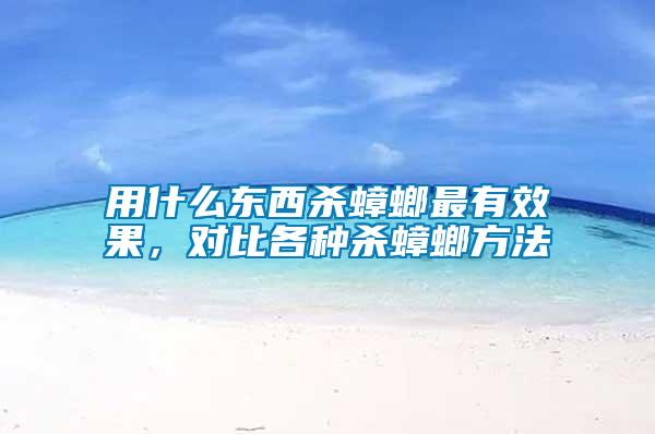 用什么東西殺蟑螂最有效果,對比各種殺蟑螂方法