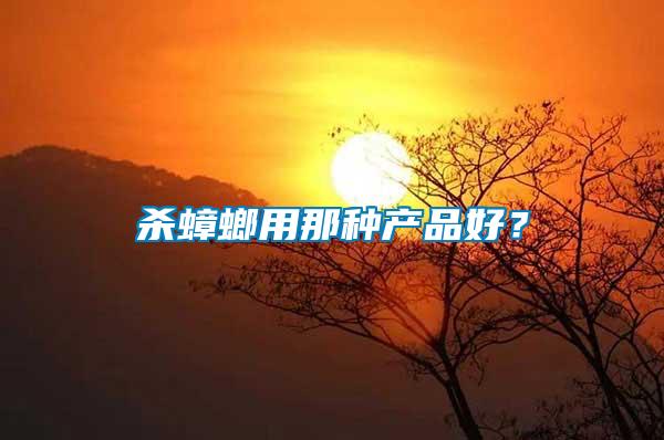 殺蟑螂用那種產品好？