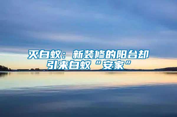 滅白蟻:新裝修的陽臺卻引來白蟻“安家”