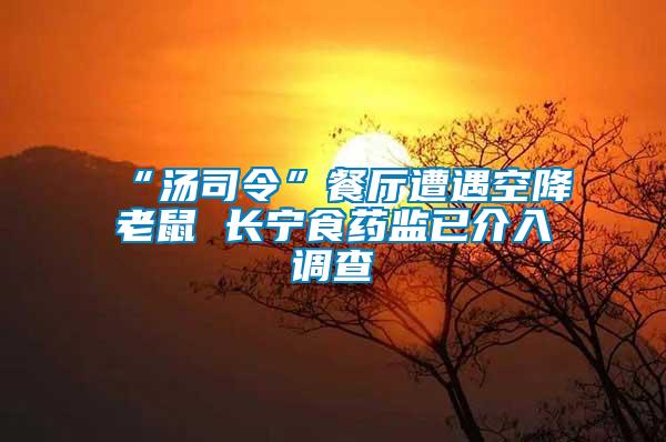 “湯司令”餐廳遭遇空降老鼠 長寧食藥監(jiān)已介入調查