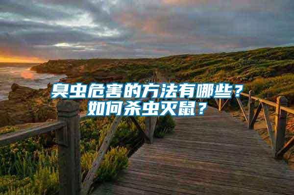 臭蟲危害的方法有哪些？如何殺蟲滅鼠？