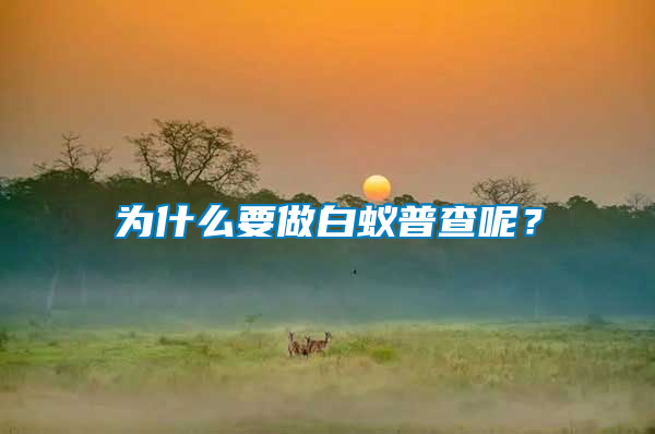 為什么要做白蟻普查呢？