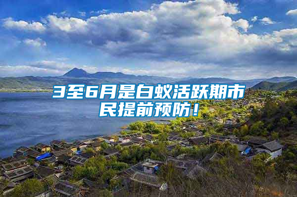 3至6月是白蟻活躍期市民提前預防！