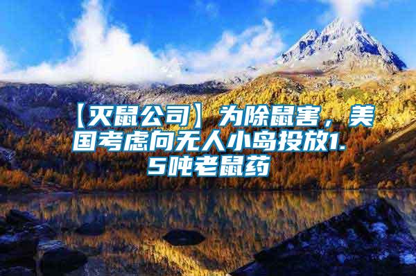 【滅鼠公司】為除鼠害，美國考慮向無人小島投放1.5噸老鼠藥