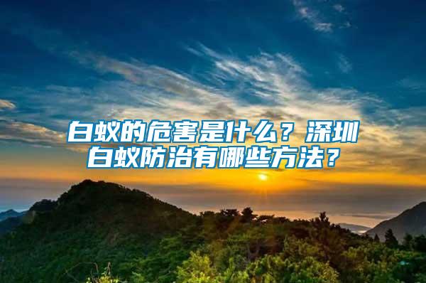 白蟻的危害是什么？深圳白蟻防治有哪些方法？