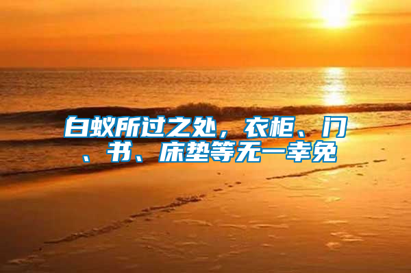 白蟻所過之處，衣柜、門、書、床墊等無一幸免