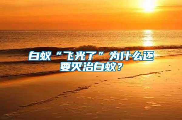 白蟻“飛光了”為什么還要滅治白蟻?