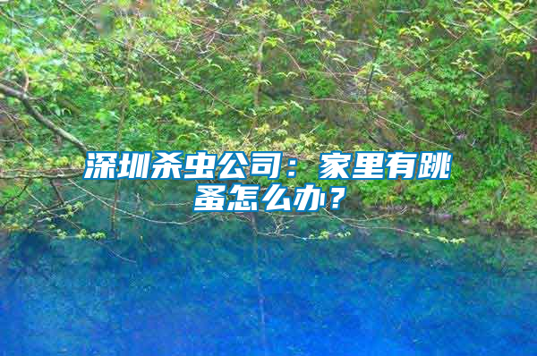 深圳殺蟲公司：家里有跳蚤怎么辦？