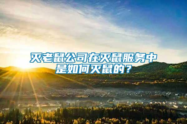 滅老鼠公司在滅鼠服務(wù)中是如何滅鼠的?