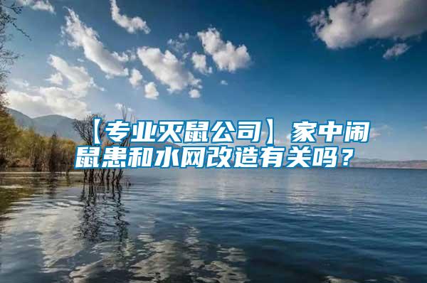 【專業滅鼠公司】家中鬧鼠患和水網改造有關嗎?
