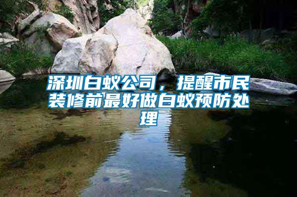 深圳白蟻公司,提醒市民裝修前最好做白蟻預防處理