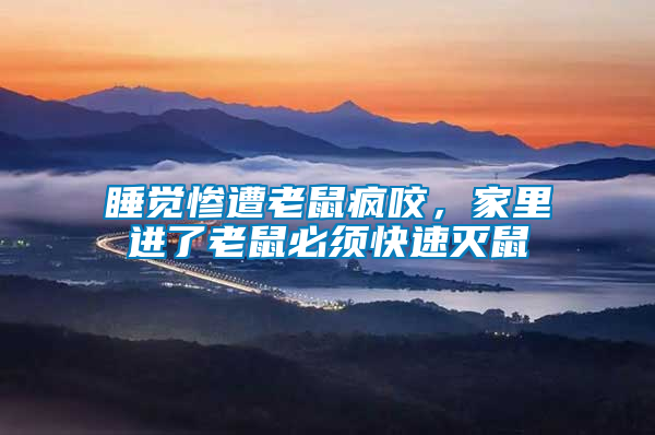 睡覺慘遭老鼠瘋咬，家里進了老鼠必須快速滅鼠