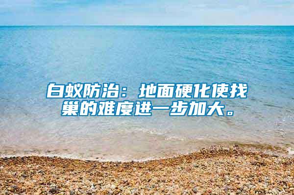 白蟻防治:地面硬化使找巢的難度進一步加大。