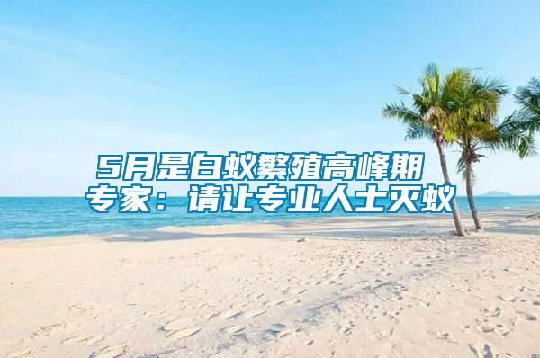 5月是白蟻繁殖高峰期 專家:請讓專業人士滅蟻
