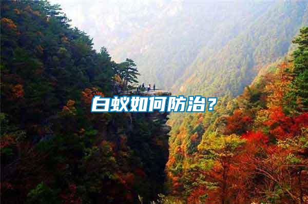 白蟻如何防治？